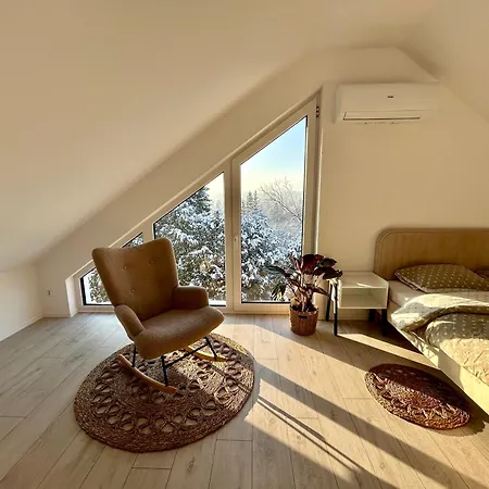 Zaleska Apartment Rzeszow
